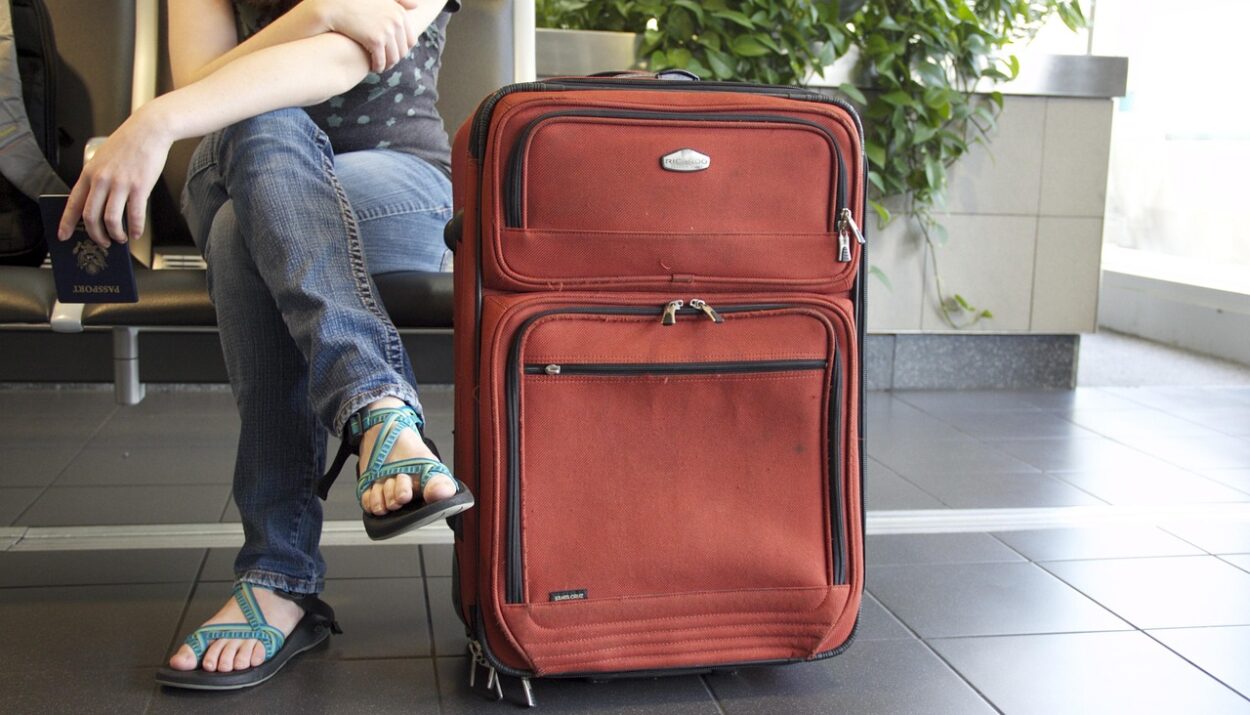 Imagen de katyveldhorst en Pixabay